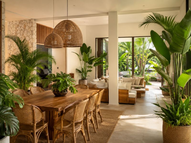 Khu bàn ăn phong cách Tropical với cây xanh lớn, bàn gỗ, ghế mây và đèn thả mây tre