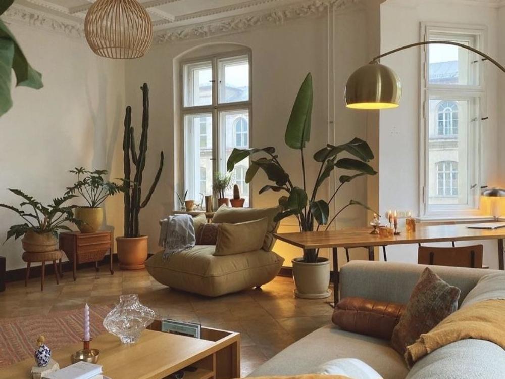 Phòng khách phong cách Vintage với tông màu trắng chủ đạo kết hợp cây xanh tạo không gian thoáng