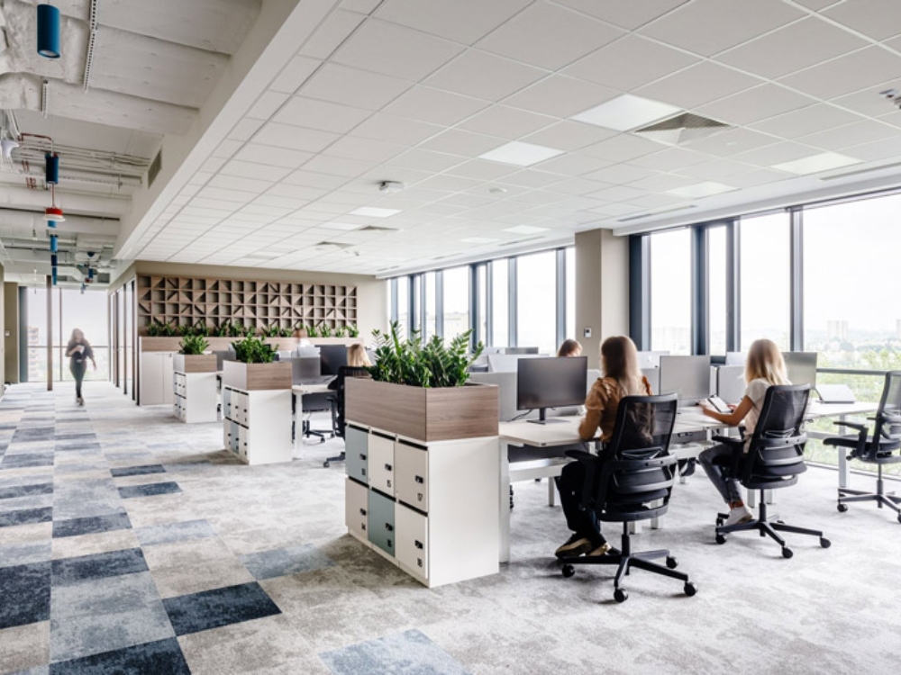 Ánh sáng tự nhiên kết hợp cây xanh toàn bộ văn phòng, tạo môi trường thoáng mát và tích cực