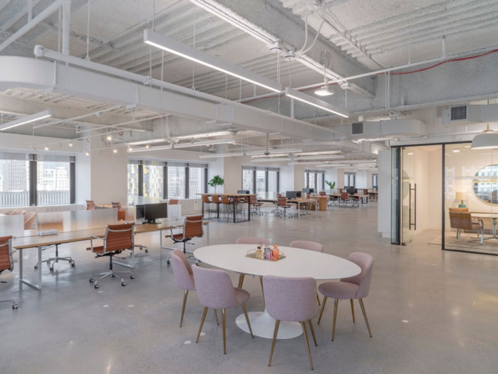 Hành lang văn phòng được bố trí thông thoáng, kết hợp cây xanh và ánh sáng tự nhiên, mang lại năng lượng tích cực