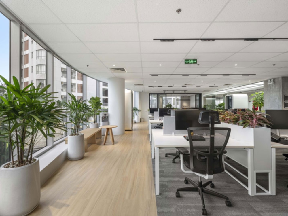 Không gian làm việc sang trọng, kết hợp ánh sáng và màu sắc trung tính, nhã nhặn