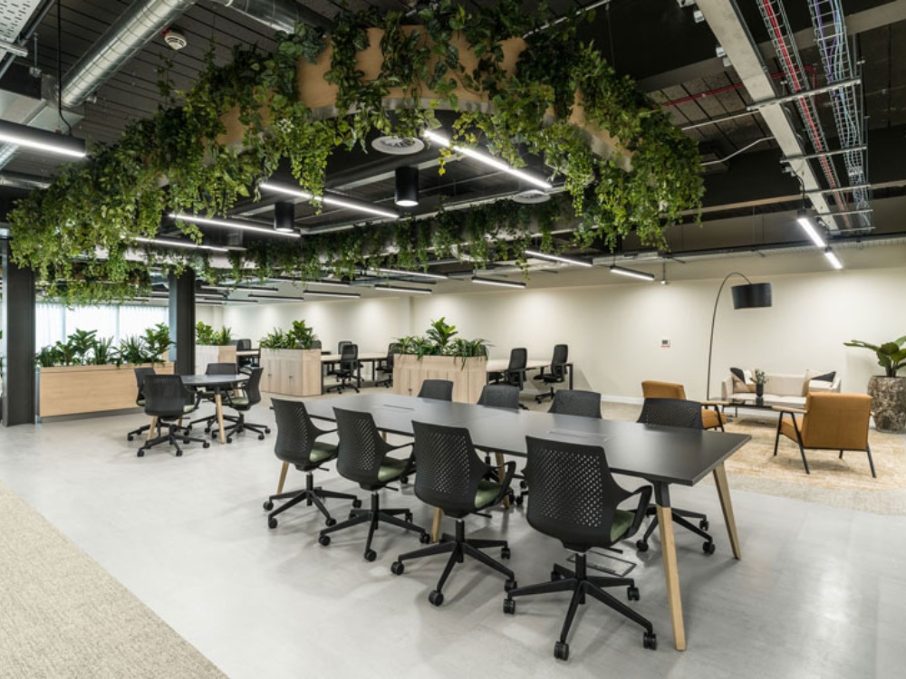 Văn phòng hiện đại kết hợp cây xanh và hoa lá, tạo không gian làm việc tươi mát và hài hòa