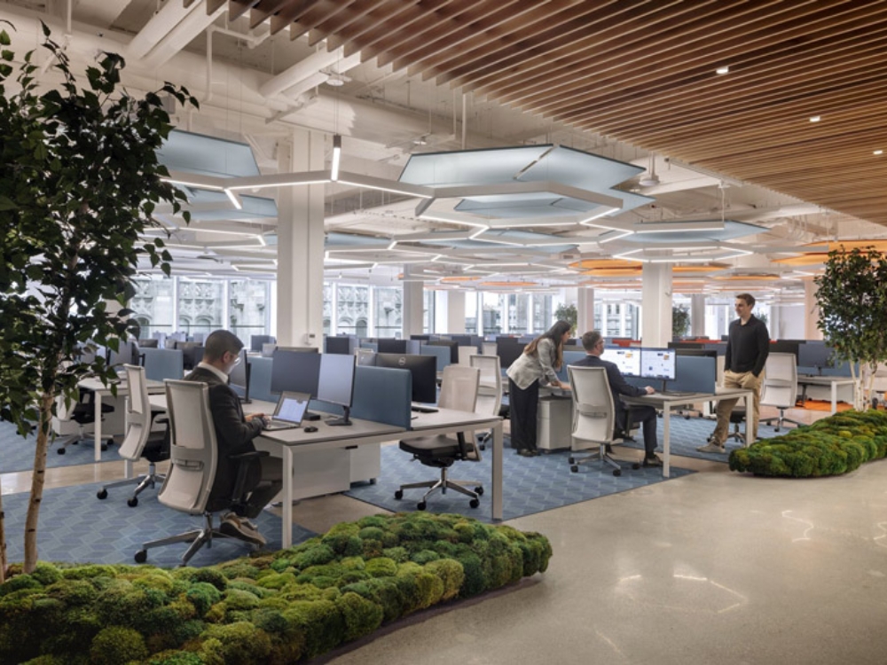 Văn phòng phong cách Eco với cây xanh và vật liệu tự nhiên, mang không gian làm việc gần gũi thiên nhiên