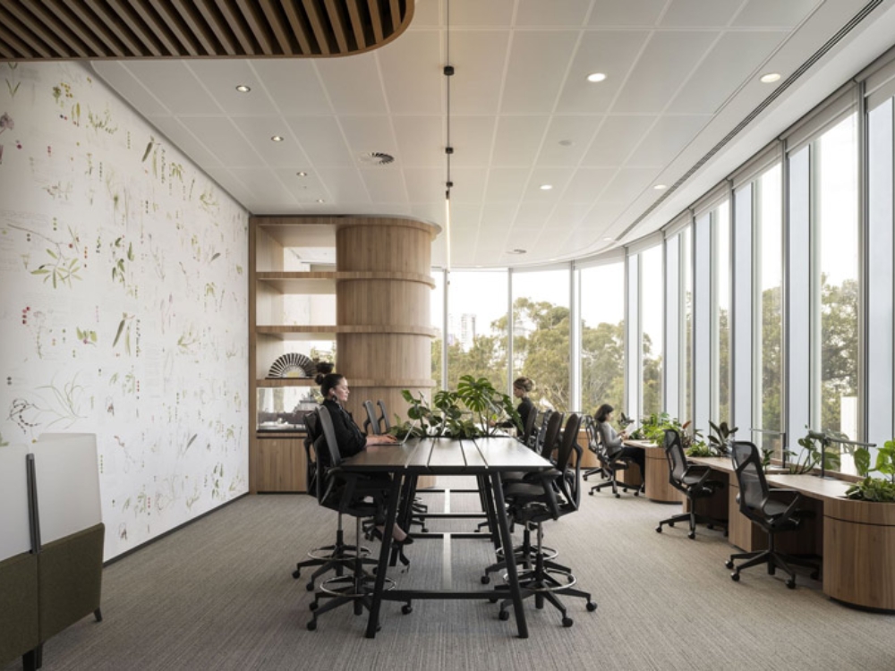 Văn phòng với đường nét thiết kế tự do và màu sắc cá tính, tạo điểm nhấn độc đáo