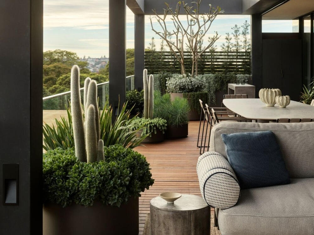 Ban công tinh tế với vài chậu cây đặc biệt làm nổi bật không gian