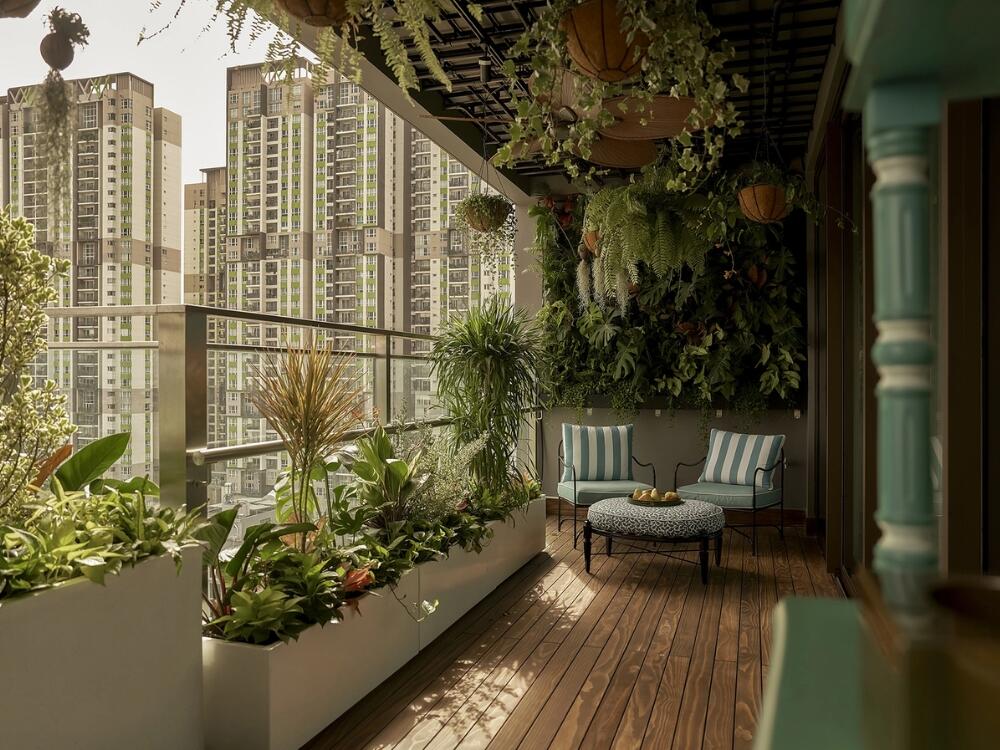 Cây dây leo như thường xuân và trầu bà mang lại vẻ mềm mại và sinh động cho ban công