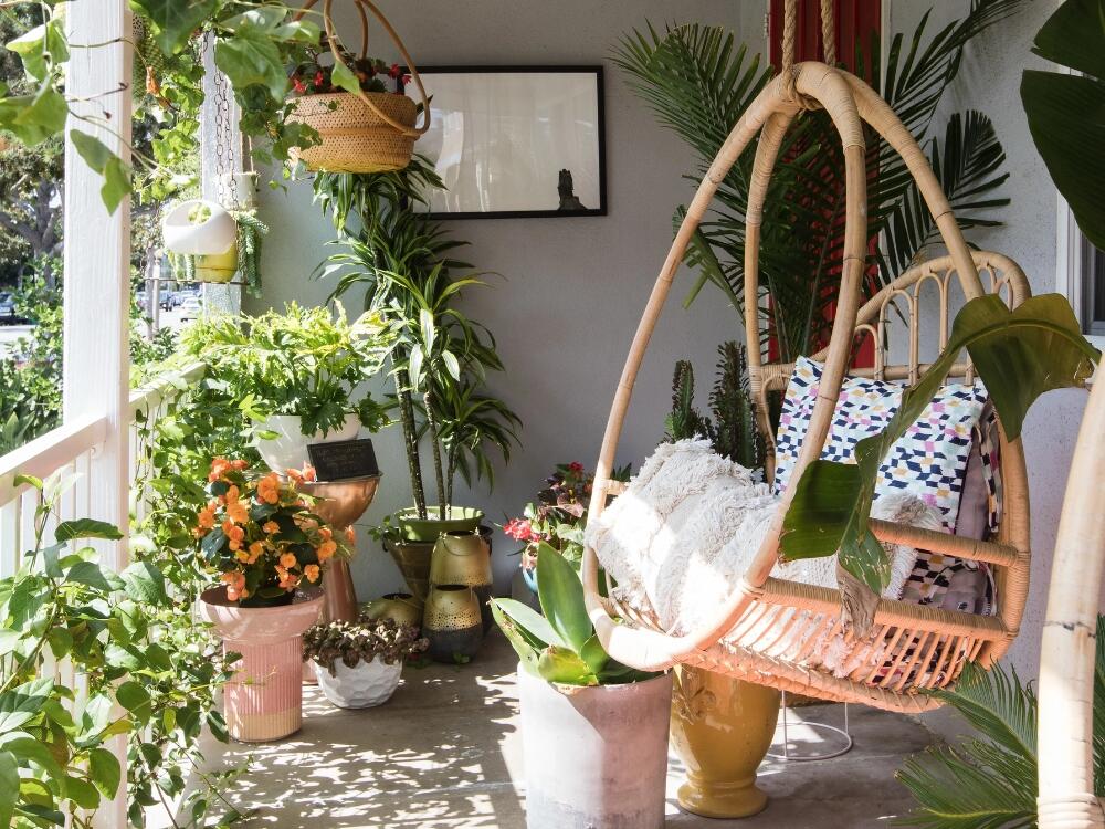 Hoa giấy, dừa cạn và lưỡi hổ là lựa chọn lý tưởng cho khu vực nhiều nắng mưa