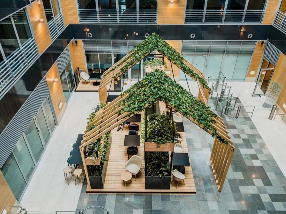 Văn phòng không gian xanh hài hòa với cây cối vật liệu gỗ và bầu không khí trong lành