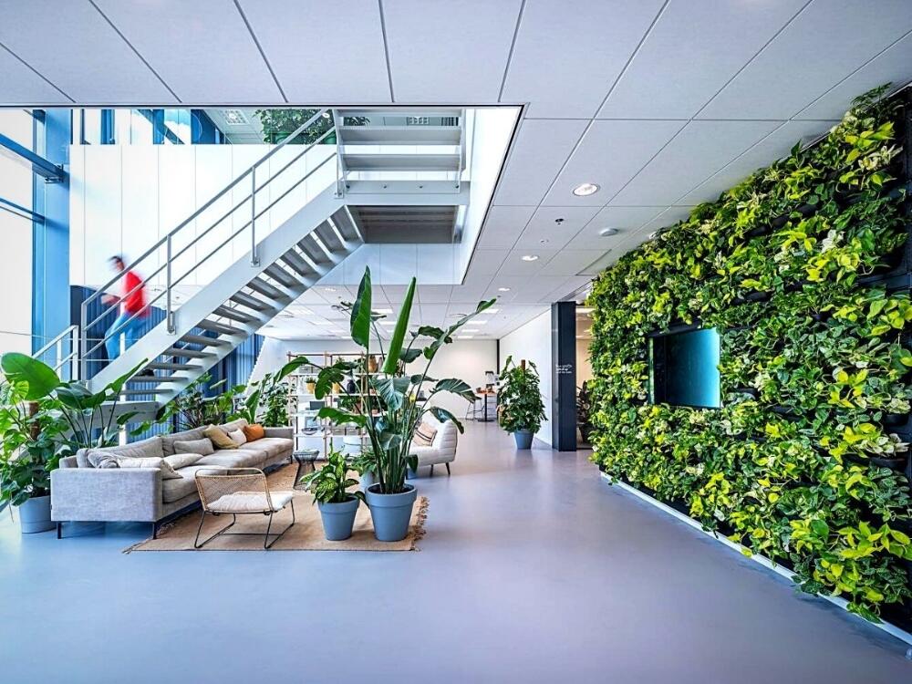 Văn phòng không gian xanh mộc mạc hiện đại mang lại môi trường làm việc tràn đầy sinh khí
