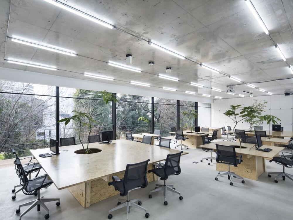 Văn phòng tối giản rộng thoáng giữ lại những nội thất cần thiết mang cảm giác trật tự tuyệt đối