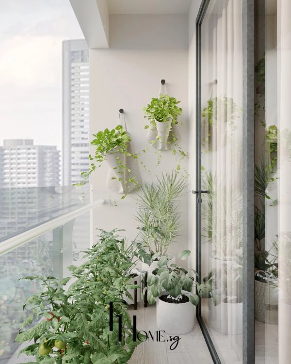 Chậu cây treo vách và chậu trắng đặt sát cửa kính ở ban công