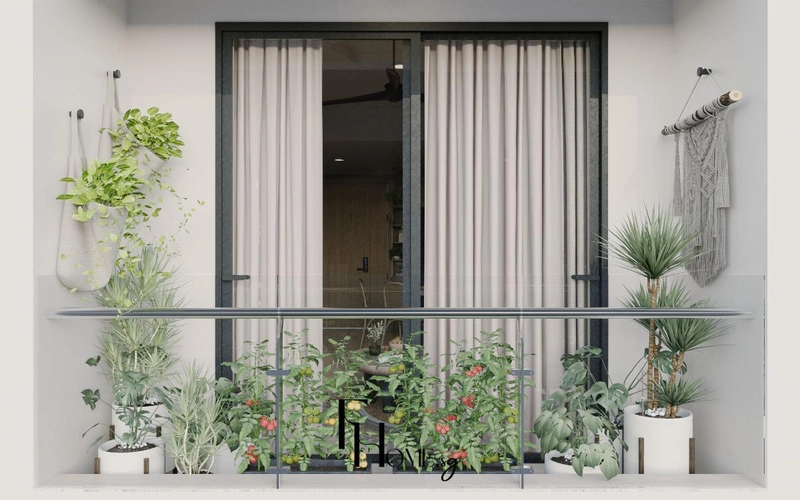 Hàng chậu cây và rau sát lan can trước cửa kính khung đen